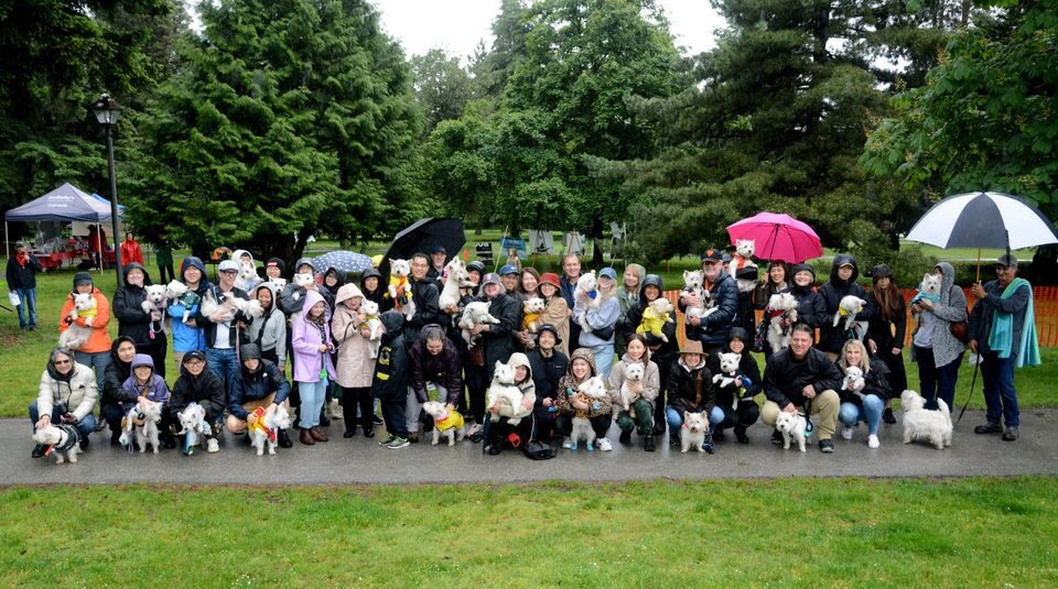 447773454_878066277698391_5382387831318887989_n