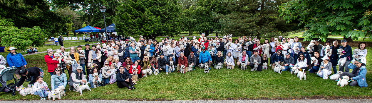 Westie_Walk_2025-13-Enhanced-NR