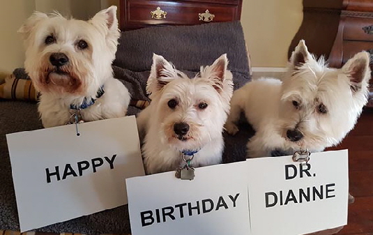 Basil 3. !cid_ii_lctl7xup6