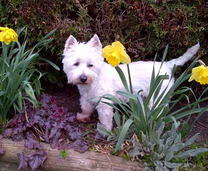 BillieGardenApril-2012 BillieGardenApril-2012