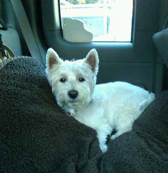 BillieTruckOct-2010 BillieTruckOct-2010