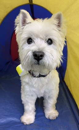 PXL_20250601_173230712 PXL_20250601_173230712