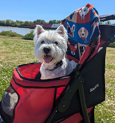 PXL_20250608_220411078 PXL_20250608_220411078