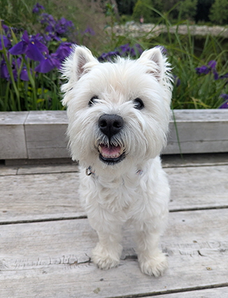 PXL_20250622_230449836 PXL_20250622_230449836