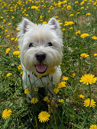 PXL_20250702_204414296 PXL_20250702_204414296