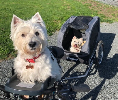 Maddie-Hallie2 Maddie-Hallie2