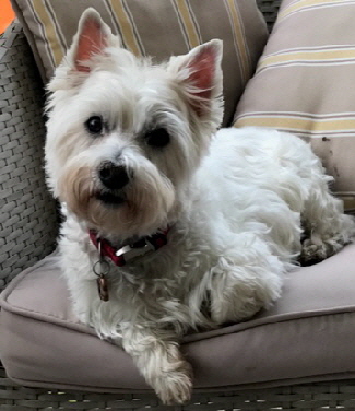 MaddieChair MaddieChair