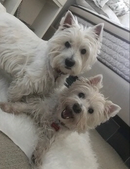 Madie-Hallie Madie-Hallie