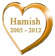 Hamish-heart