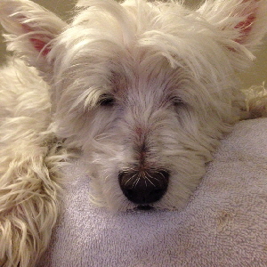 Jackson-pic-to-go-with-write-up1