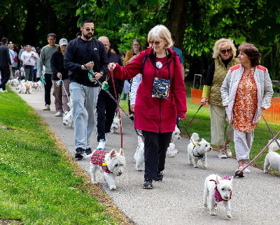 A Tribute to Snowy25