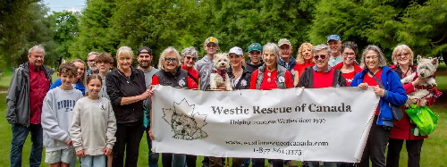 A Tribute to Snowy28