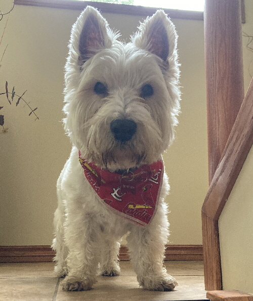 2016-04-13 001 2016-04-13 001