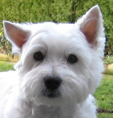 Teddi_-_March_2008_-3- Teddi_-_March_2008_-3-