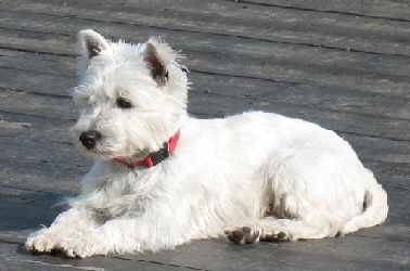 100310-1-c--Full-Editweb