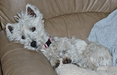 100514-1--Full-Editweb