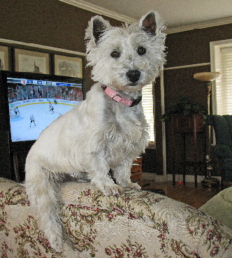 100523-1--Full-Editweb-