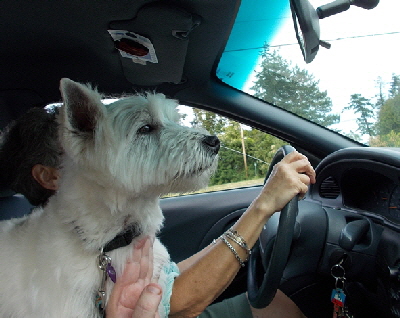 I-know-where-I-amweb I-know-where-I-amweb